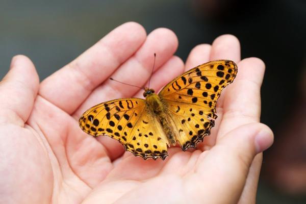 Tatuaggi: come farli in sicurezza e goderseli per tutta la vita